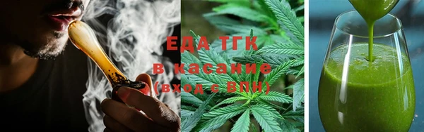 крисы Аркадак