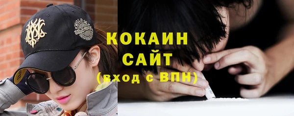 крисы Аркадак