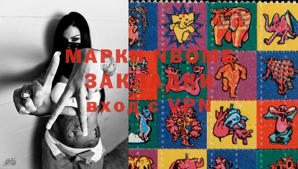 крисы Аркадак