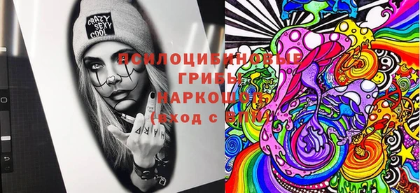 крисы Аркадак