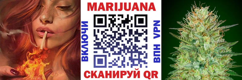 хочу наркоту Белокуриха Шишки марихуана White Widow